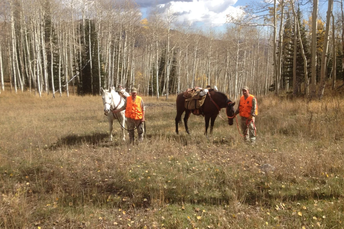 Camp Should Help the Hunt.