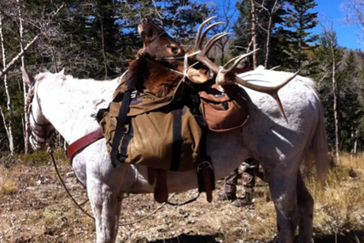 Backcountry pack-out