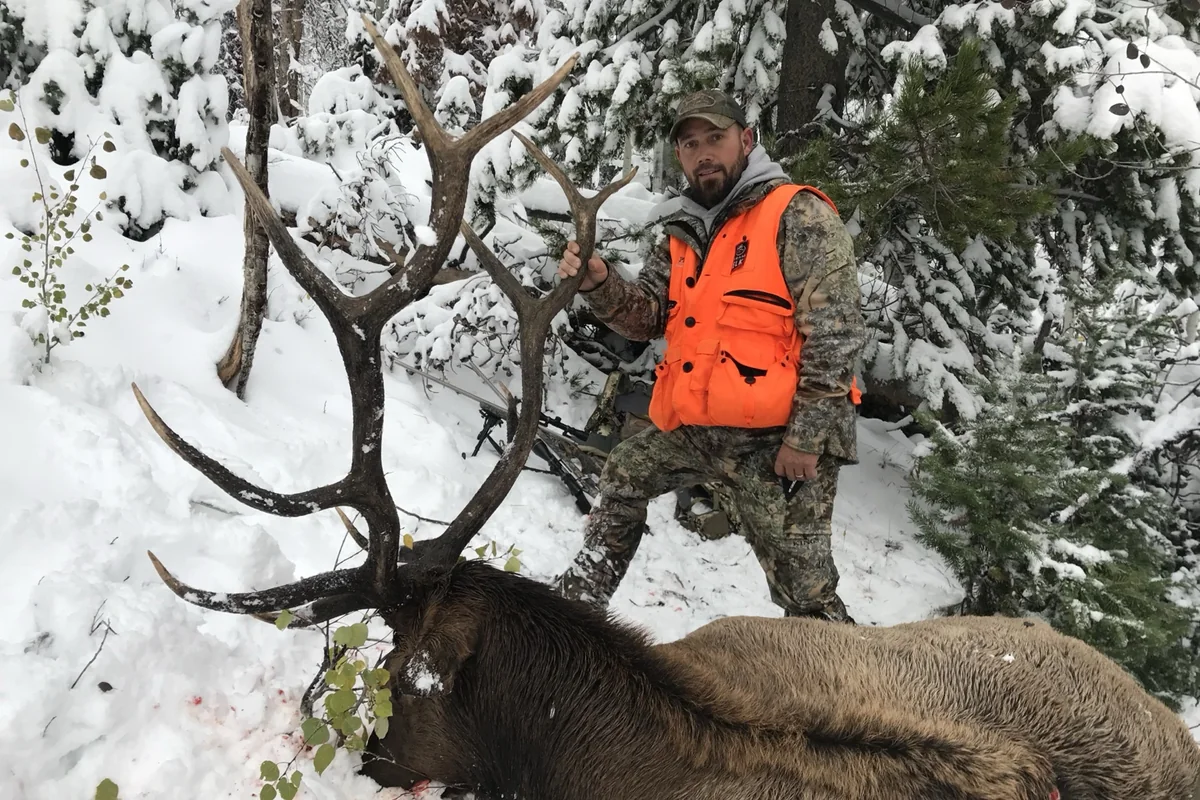 Late-season elk country