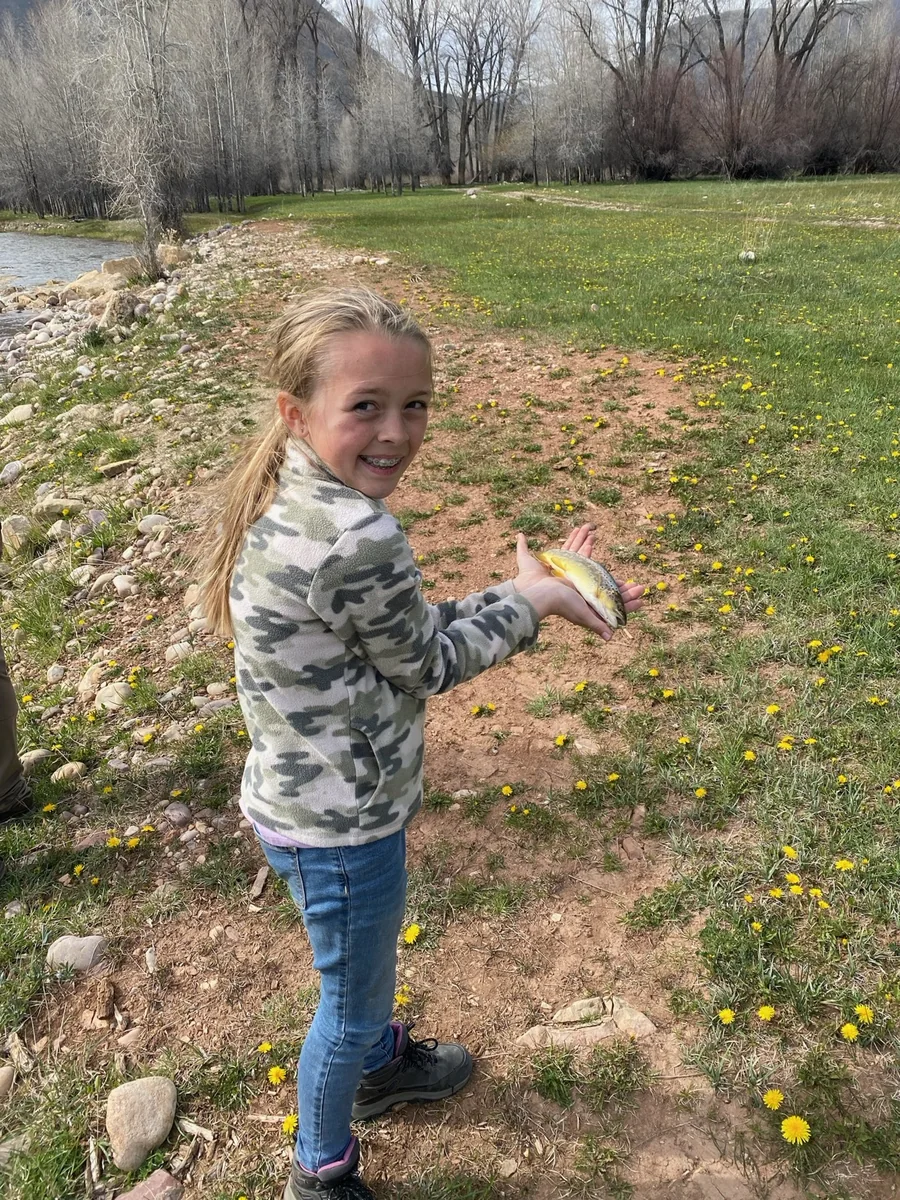 Learning the river